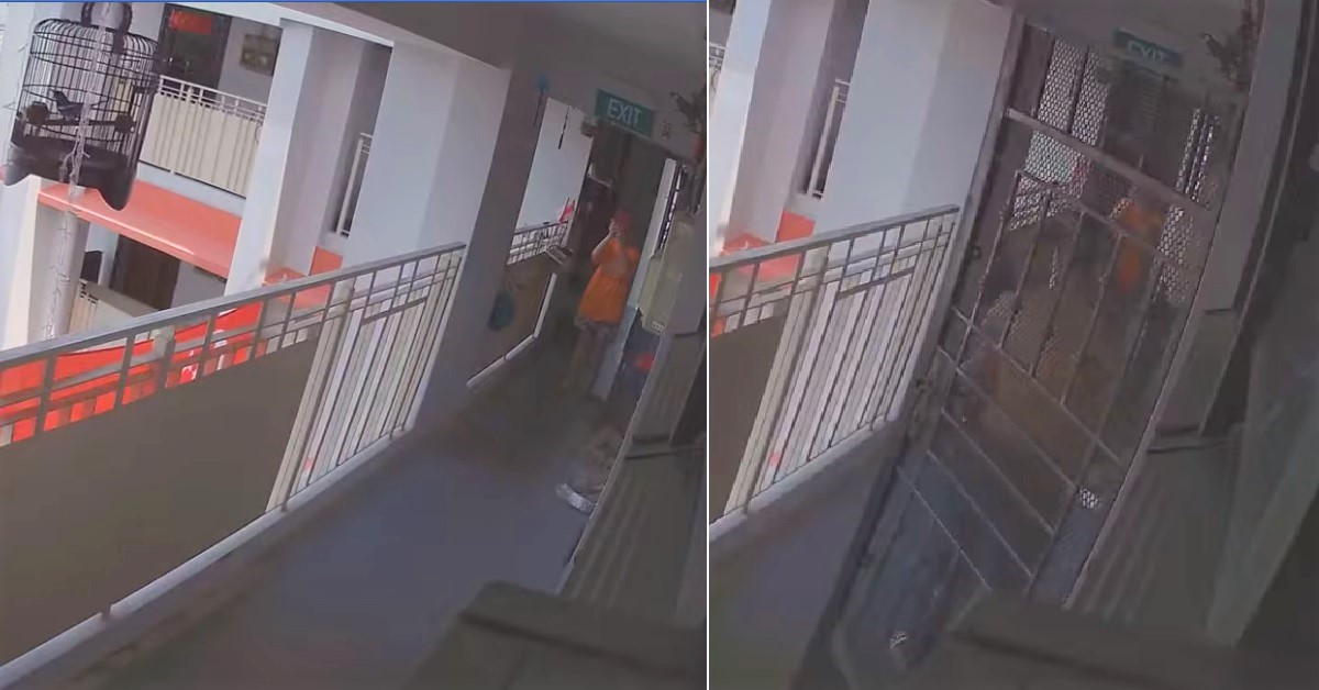 RACIST AUNTIE QUARRELS WITH NEIGHBOUR OVER HIS BIRD BIRD