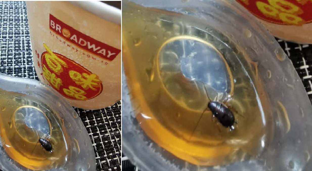 WOMAN FINDS COCKROACH IN HER DESSERT FROM YISHUN BROADWAY