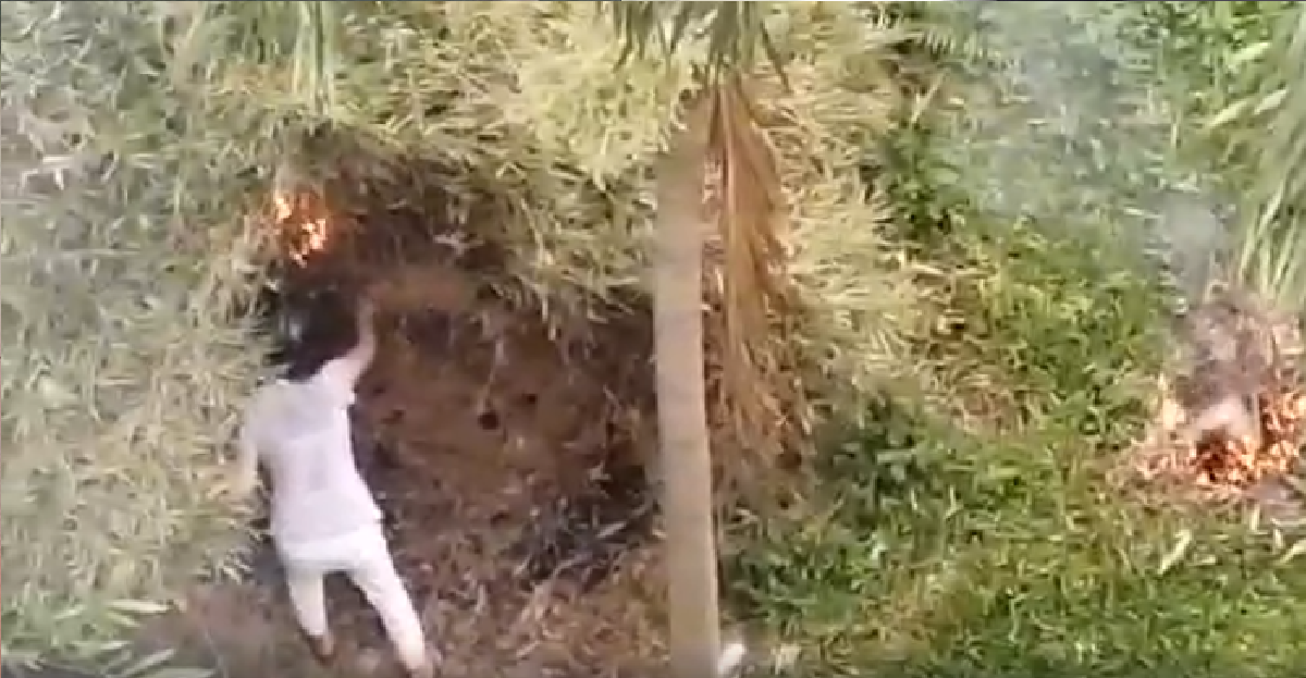 AUNTIE SETS TREE ON FIRE AT KIM KEAT AVENUE