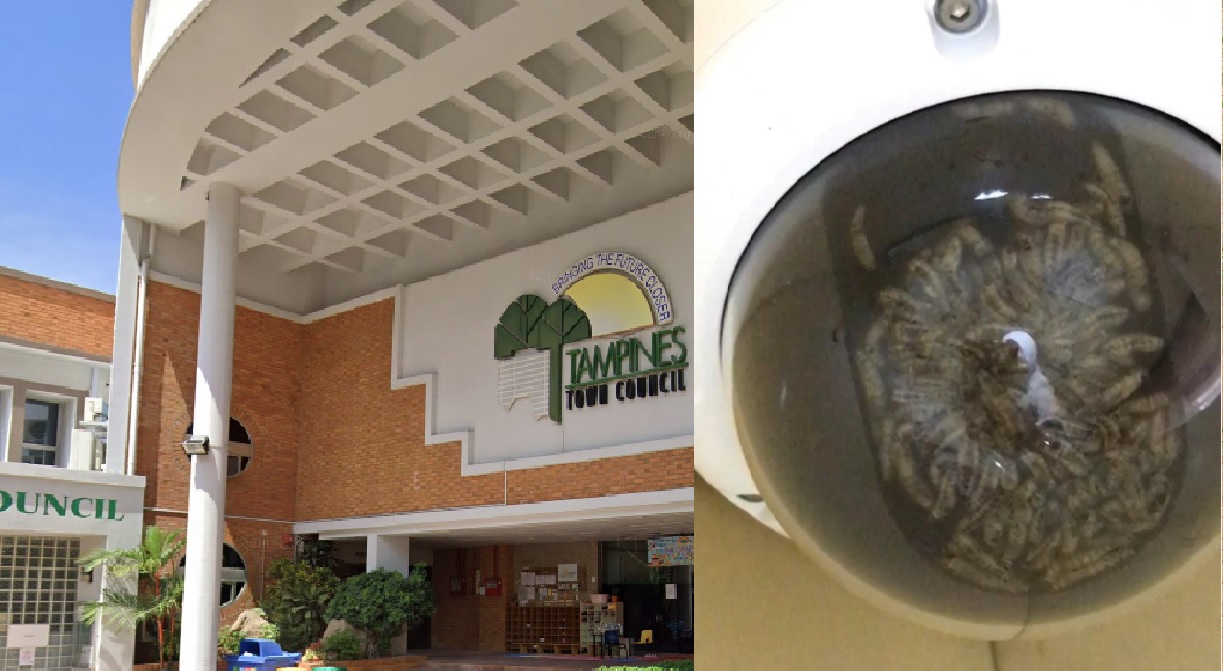 MAGGOTS FOUND IN CCTV OF HDB LIFT