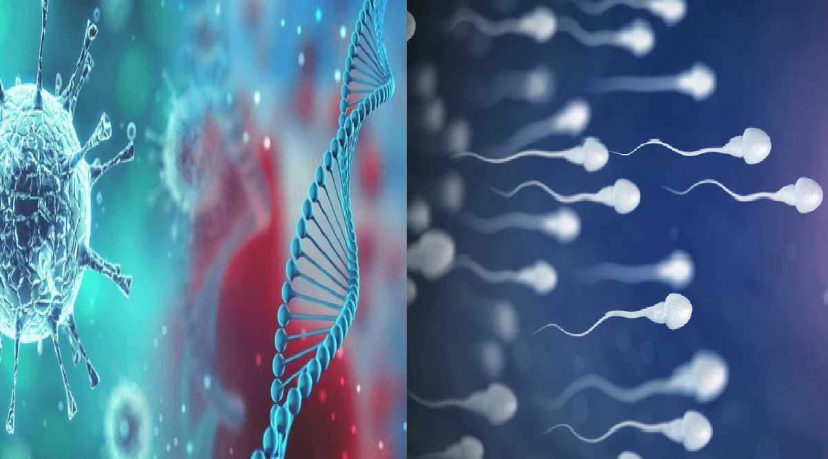 COVID-19 FOUND IN kkb juice ONGOING RESEARCH TO PROVE IF COVID-19 CAN BE SEXUALLY TRANSMITTED