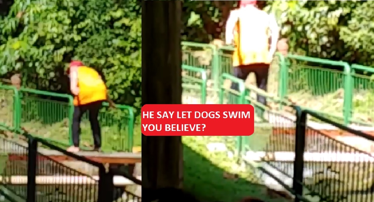 MEN WHO THREW DOG IN DRAIN CLAIMS “GIVING HIS DOGS A SWIM”