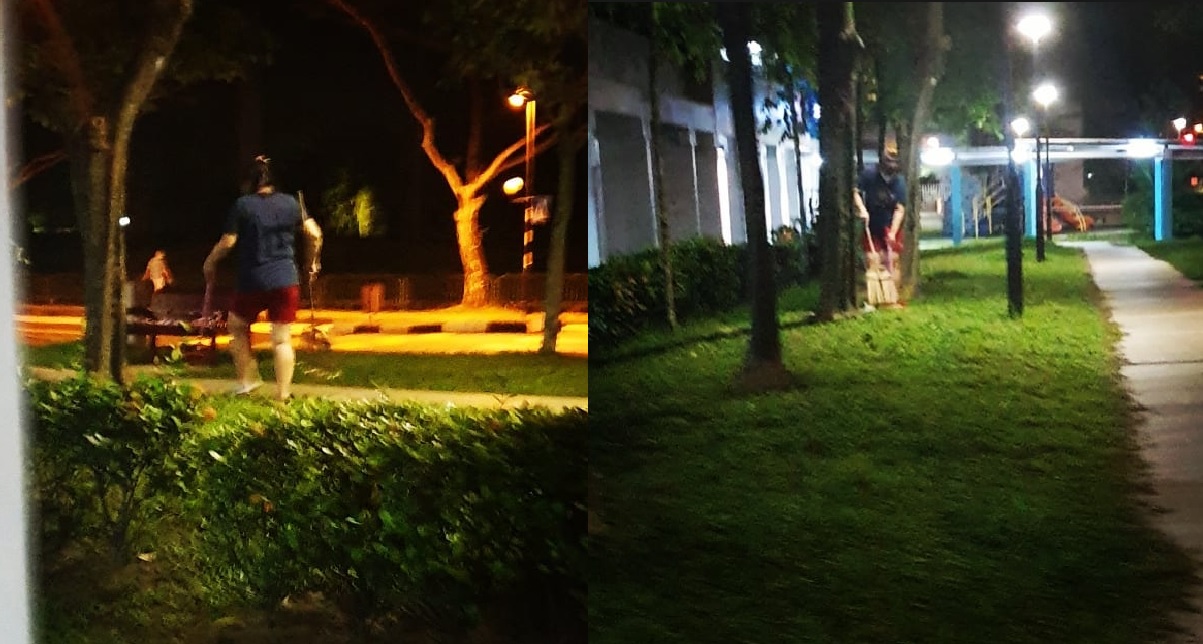 RESIDENT SPOTTED SWEEPING DEAD LEAVES ON COMMON PATHWAYS