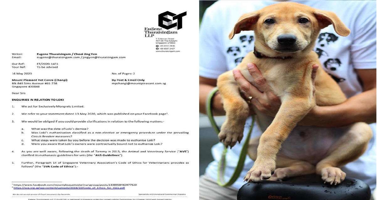 EXCLUSIVELY MONGRELS SENDS LAWYER LETTER TO VET WHO EUTHANIZED LOKI