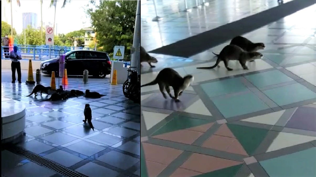 OTTERS FAMILY VISIT HEALTHCARE WORKERS AT KK HOSPITAL