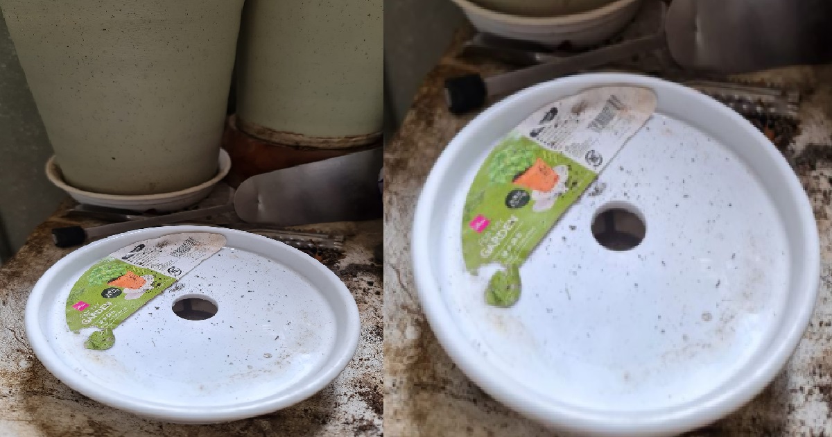 TOWN COUNCIL ALLEGEDLY BROKE RESIDENT’S FLOWER POT DURING INSPECTION