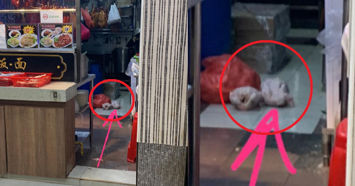 ROASTED MEAT STALL AT CLEMENTI SEEN PLACING RAW CHICKEN ON DIRTY WET FLOOR