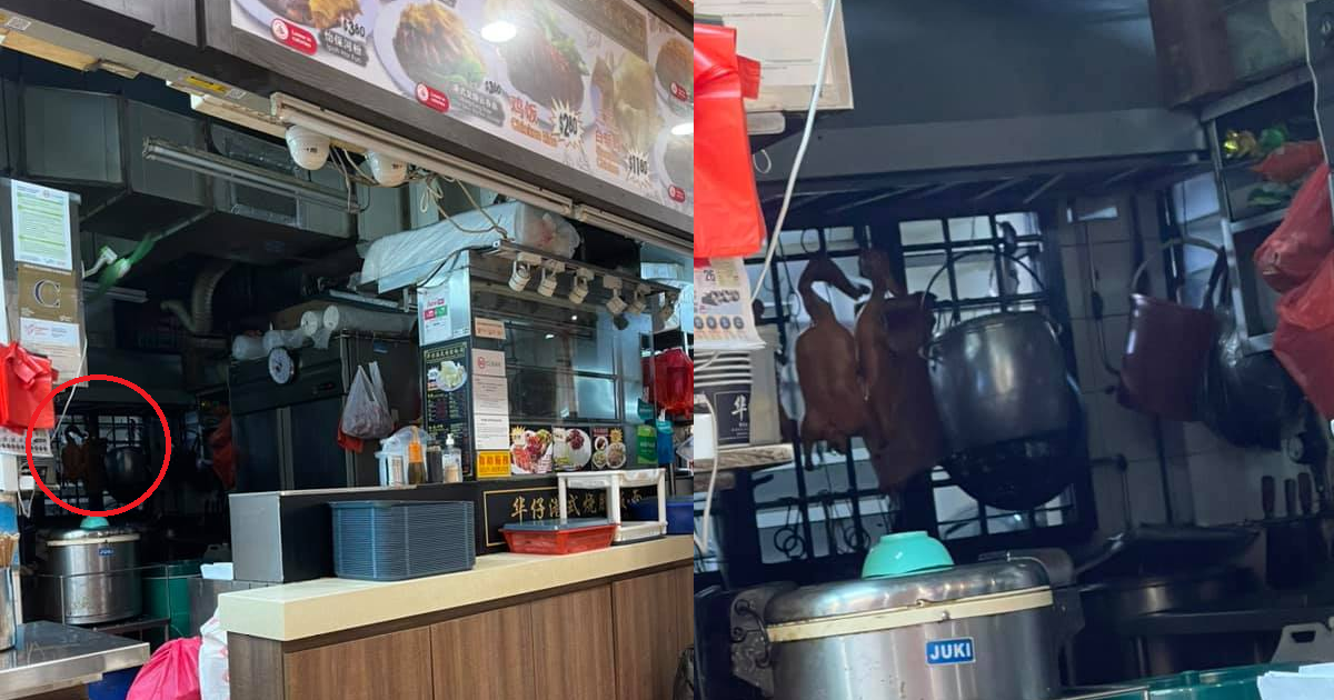 ROAST MEAT STALL HANGS DUCK OVERNIGHT AS COCKROACHES & RATS ROAM FREE
