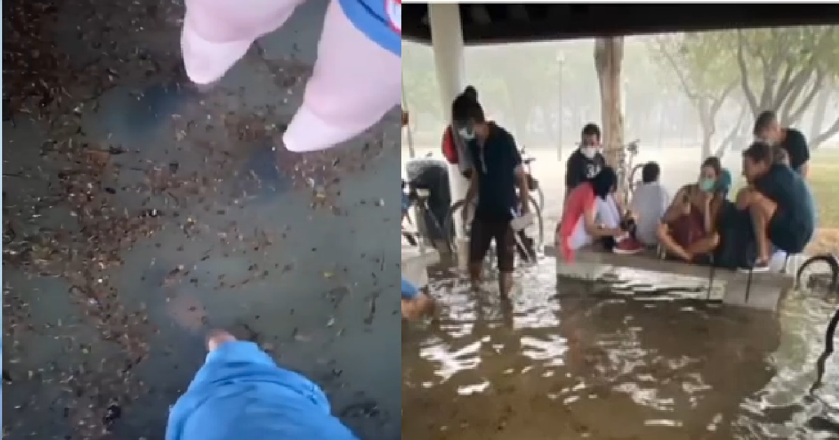 EAST COAST PARK FLOODED, PARK-GOERS SUBMERGED IN SHIN-DEEP RAINWATER