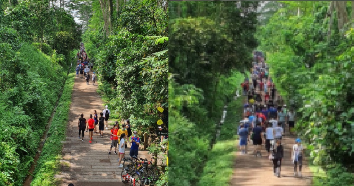 NPARKS: SECTIONS OF GREEN SPACES MAY BE CLOSED OFF IF THEY BECOME TOO CROWDED