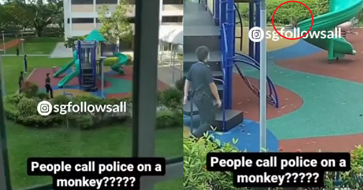 5 OFFICERS FROM S’PORE POLICE FORCE ACTIVATED DUE TO SINGLE MONKEY DISTURBANCE