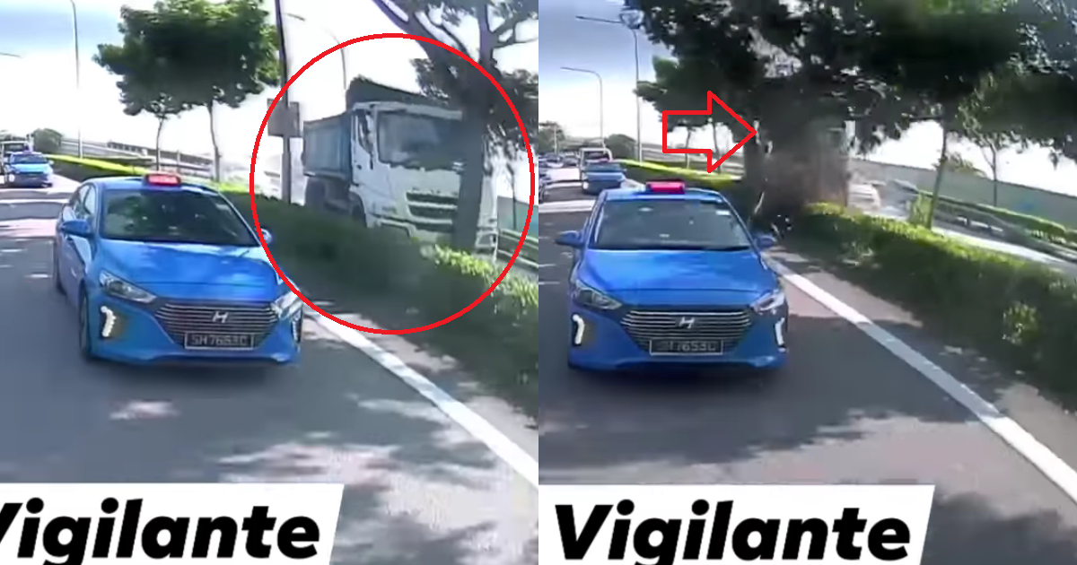 TRUCK SMASHES INTO TREE AS TREE FALLS TO ROAD BLOCKING TRAFFIC FOR HOURS