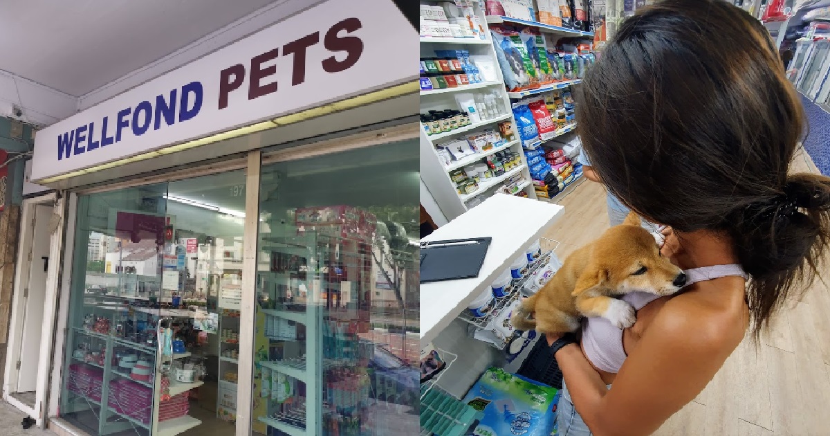 PET STORE AT UPPER THOMSON ON FIRE, 19 PUPPIES RESCUED BY SCDF