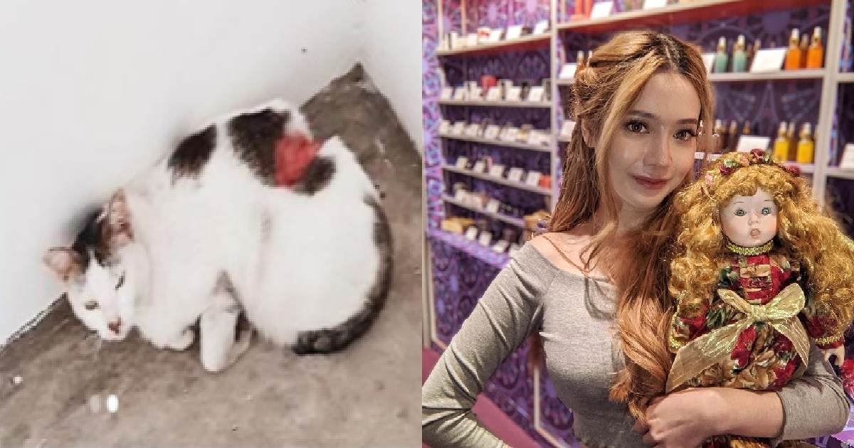 CHIOBU S’PORE WITCH USES MAGIC TO FIND CAT SLASHERS, OFFERS $4K REWARD