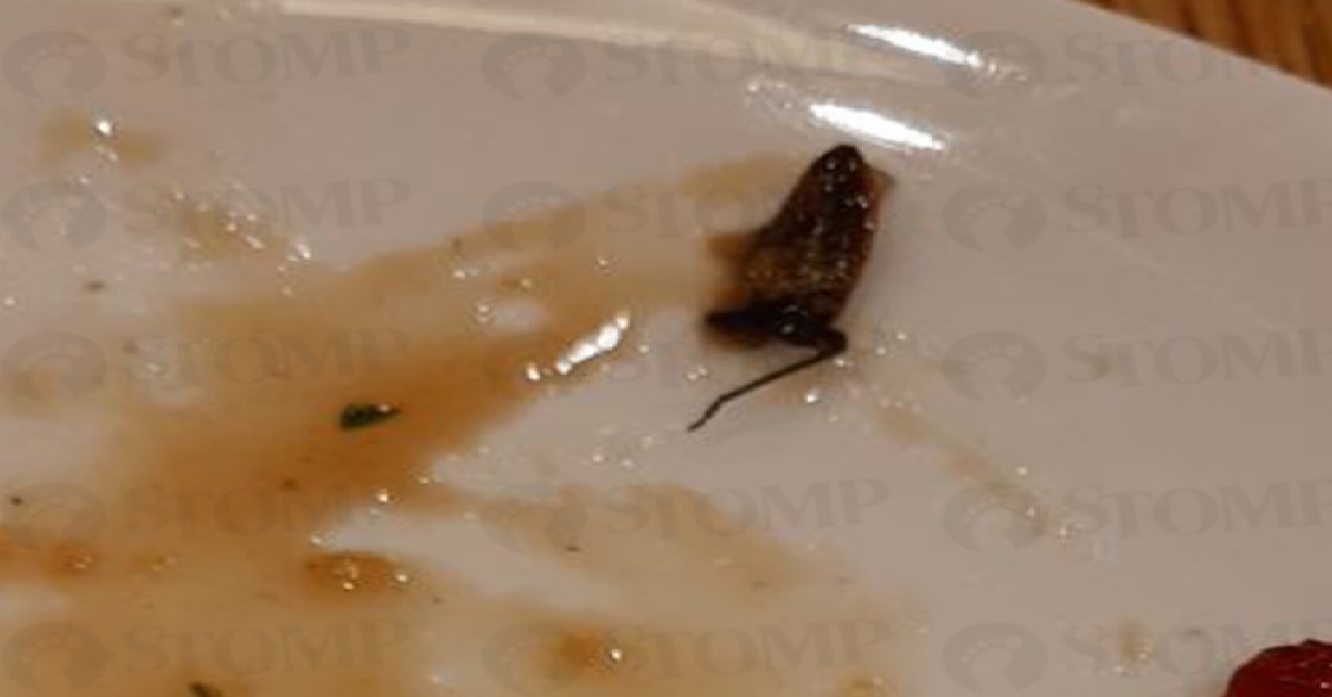 WOMAN FOUND BUG IN PLATE BEFORE FINISHING HER MEAL