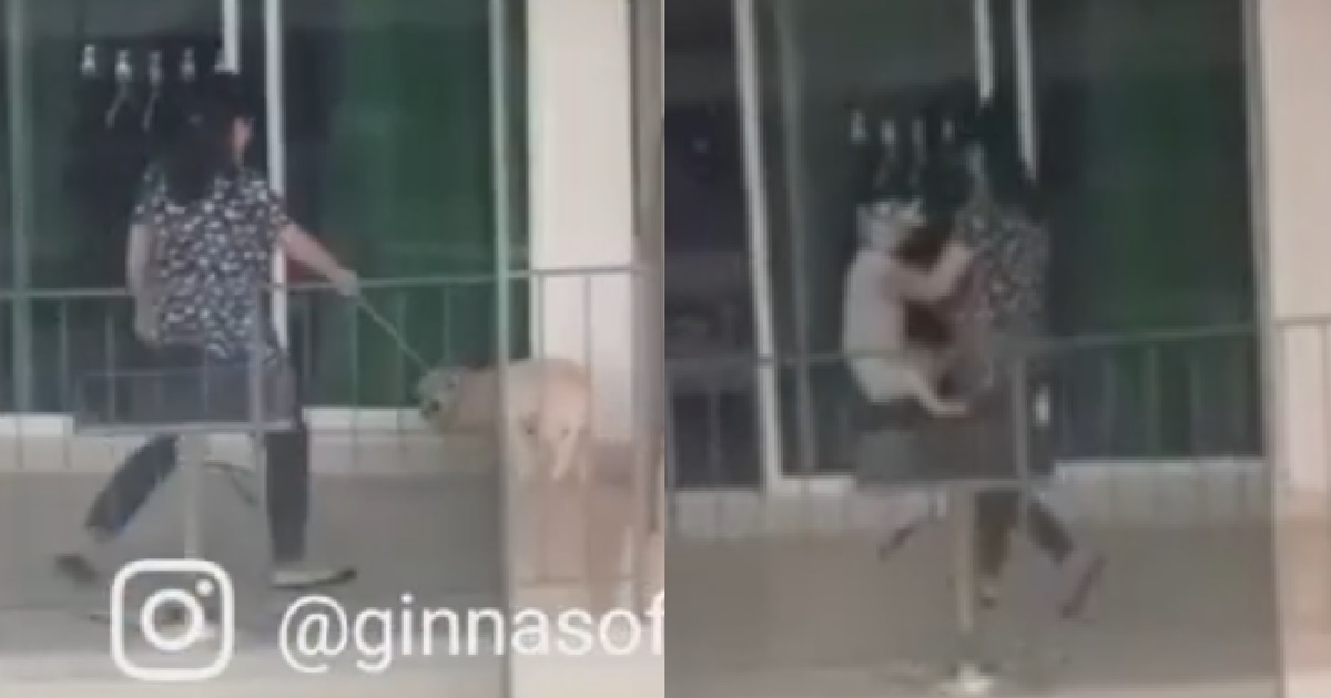 AUNTIE TAKE ROTAN WHACK HER DOG LIKE IT WAS A HUMAN BEING