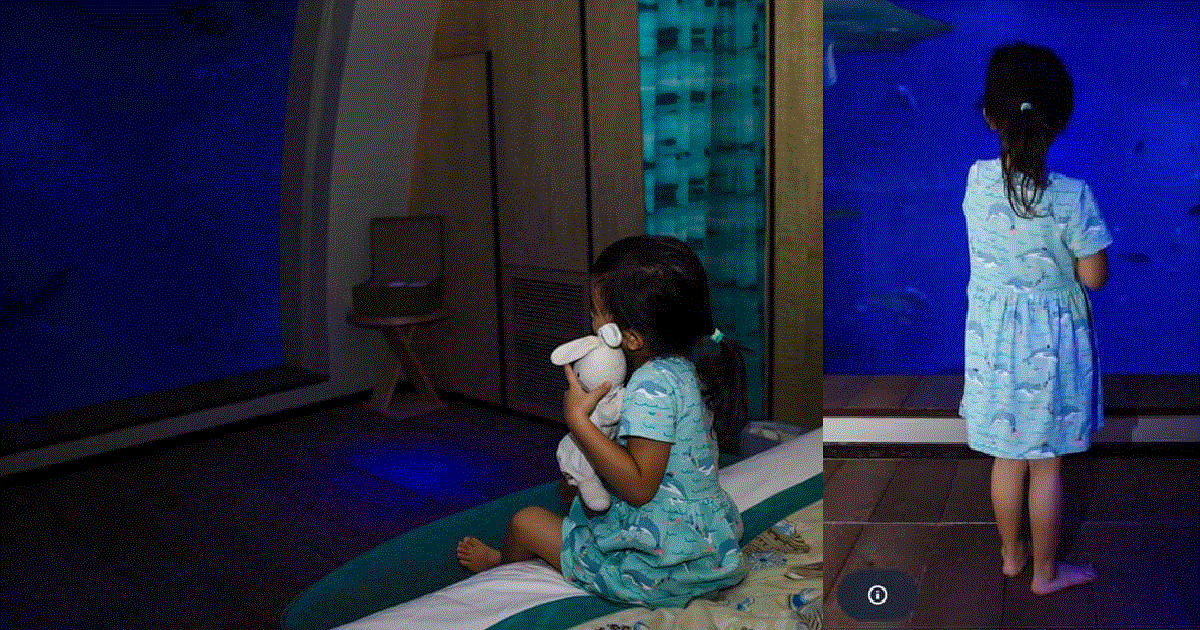 DIRECTOR OF PHOTOGRAPHY COMPANY TAKE CRAPPY PICS FOR FAMILY AT SENTOSA THEN MIA