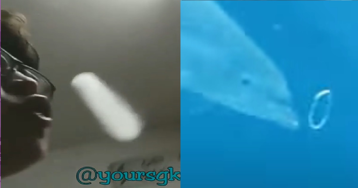 GUY ILLEGALLY VAPING, BLOW SMOKE RINGS BECAUSE HE WANTS TO BE A DOLPHIN