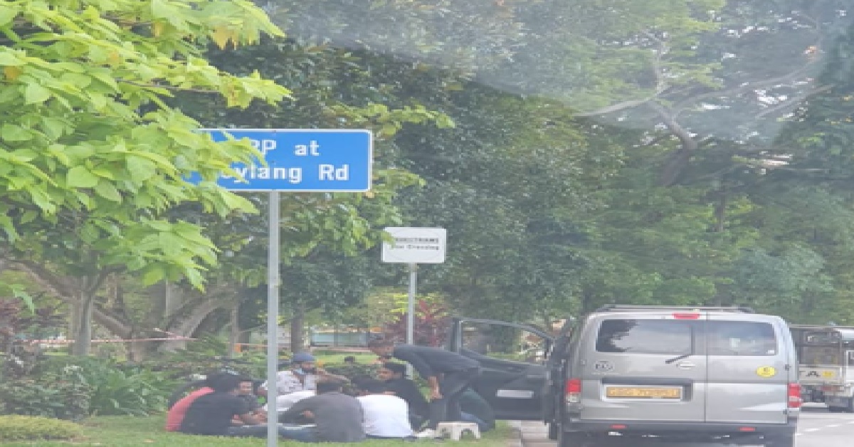 BUNCH OF PEOPLE GATHERING ON ROADSIDE GRASS PATCH