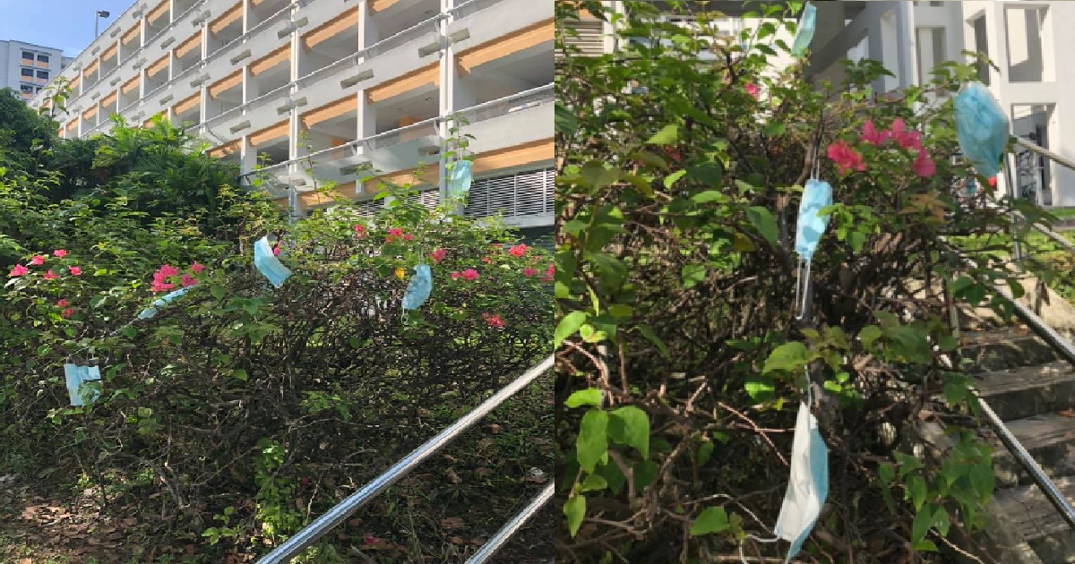 INCONSIDERATE RESIDENTS THROW USED MASKS ONTO BUSHES AT SENGKANG