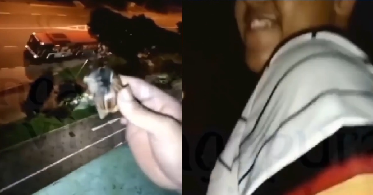 YOUNG PUNK PICKS UP A SNAIL AND THROW IT DOWN FROM HDB