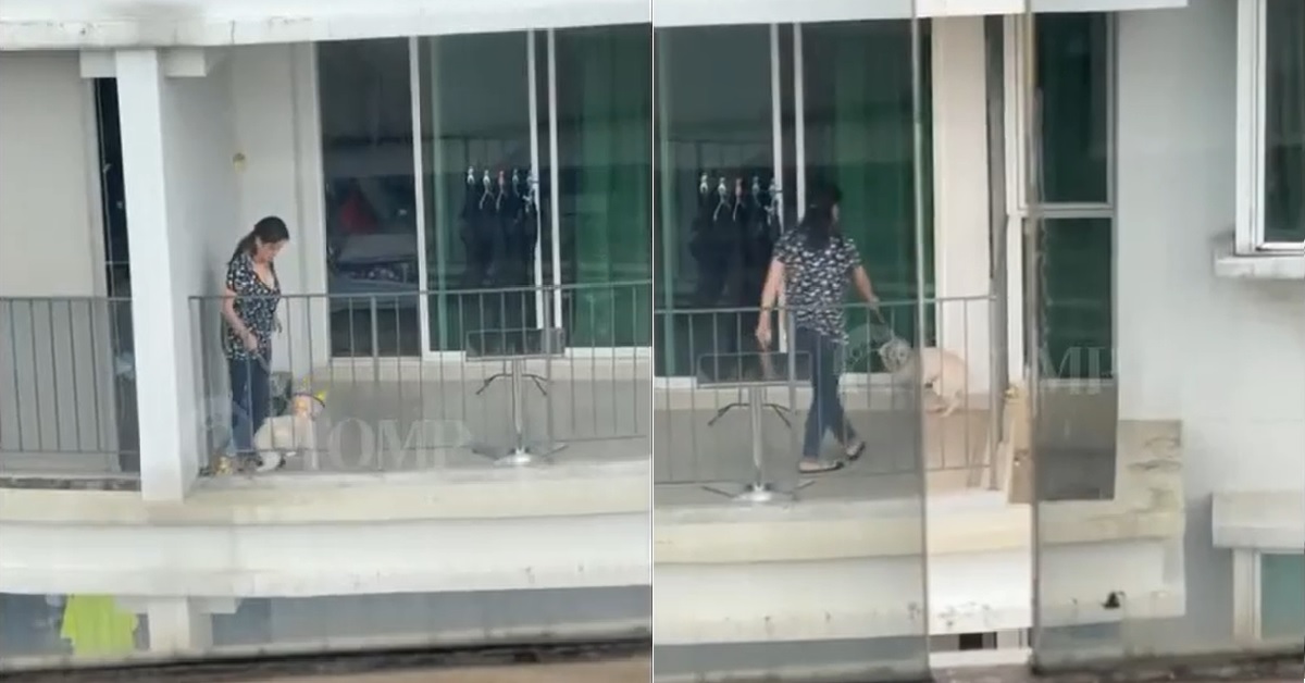 WOMAN ALLEGEDLY ABUSED DOG WITH CANE AT CONDO BALCONY