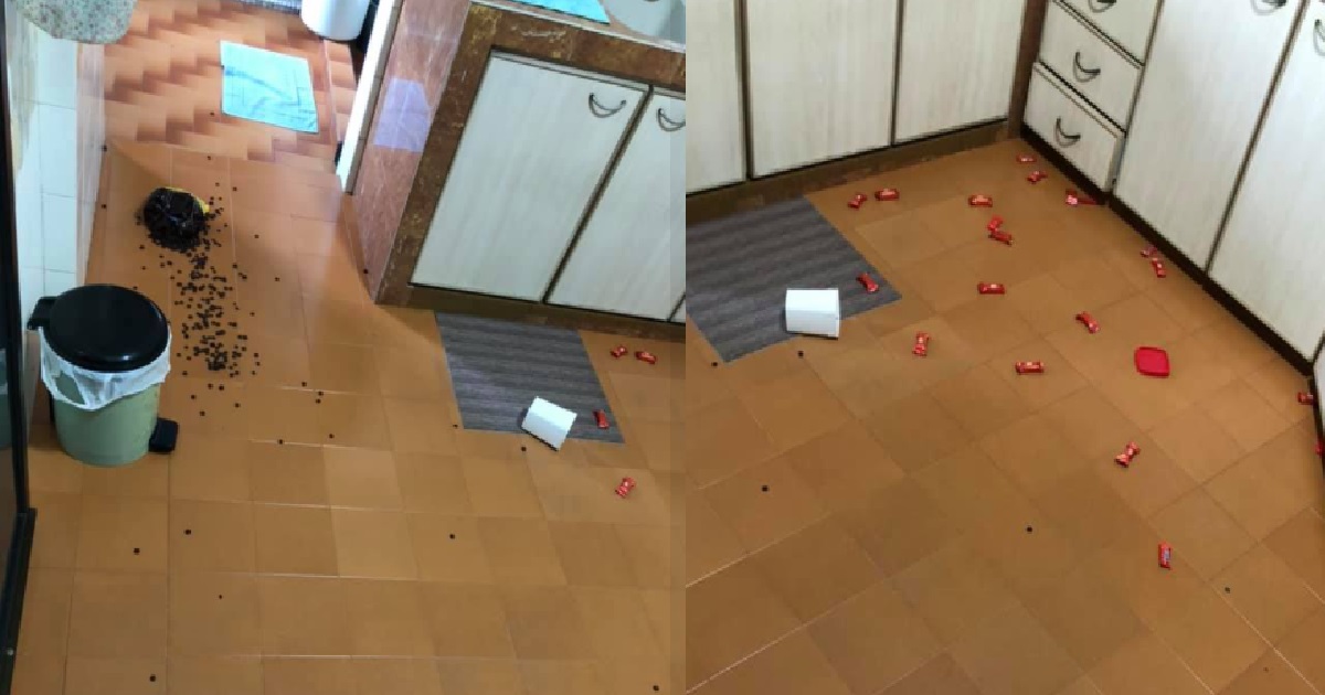 RESIDENT WAKES UP AND FINDS “FAT TOPLESS STRANGER” INSIDE HIS ROOM