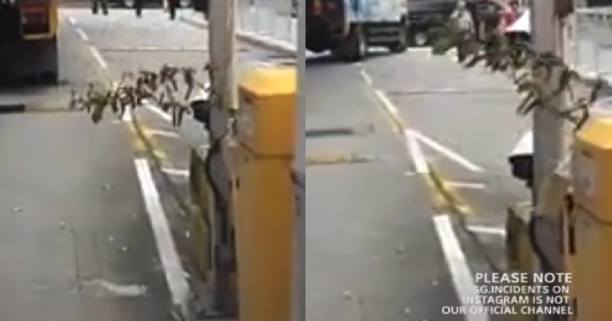 CARPARK GANTRY BARRIER REPLACED WITH A STICK OF LEAVES