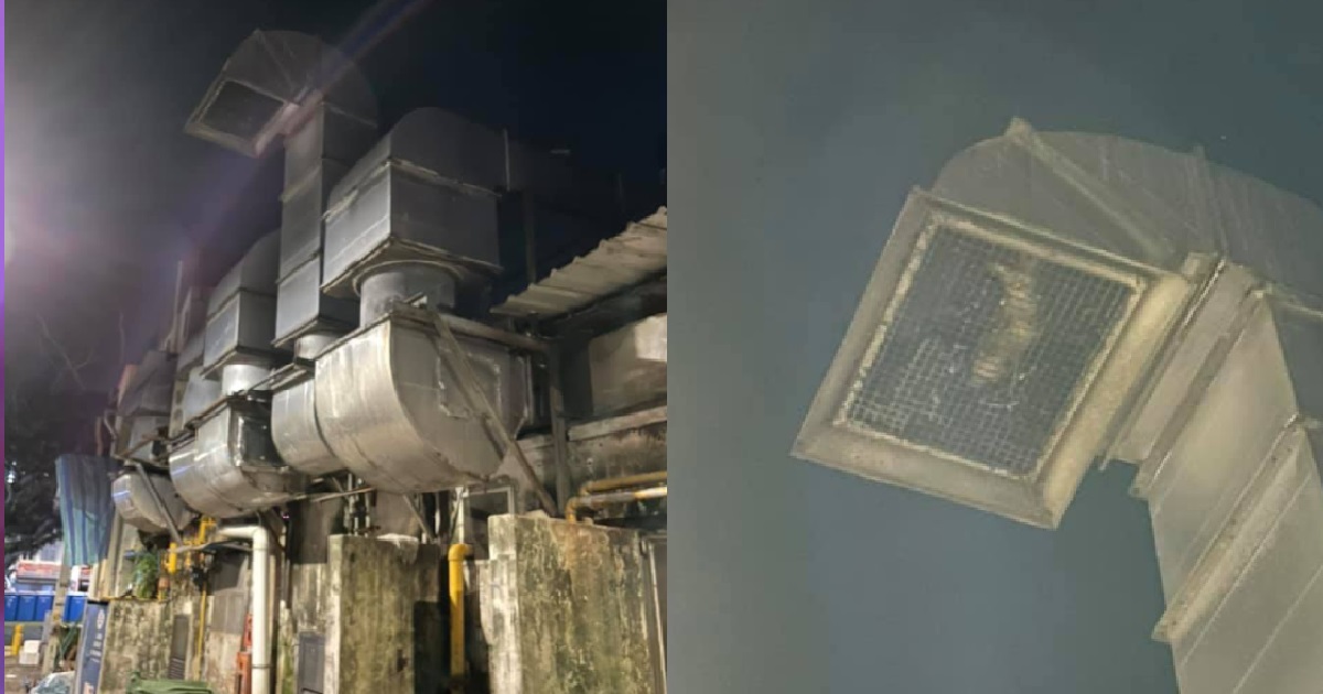 CAT STUCK INSIDE EXHAUST VENT FOR 2 DAYS, FINALLY SPOTTED AND RESCUED