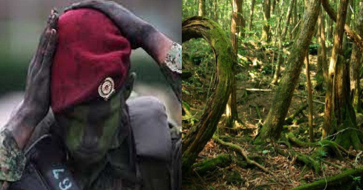 COMMANDO HEARS EERIE LAUGHTER DURING JUNGLE EXERCISE AT NIGHT