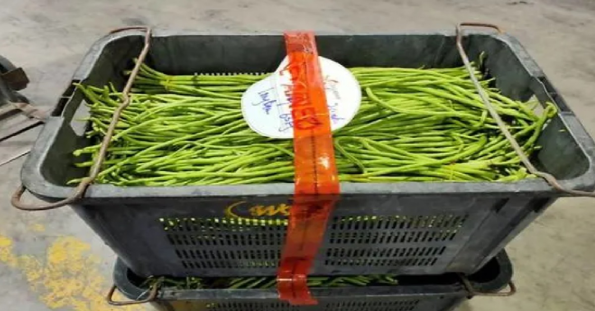 SUPPLIER FINED FOR IMPORTING VEGETABLES ILLEGALLY