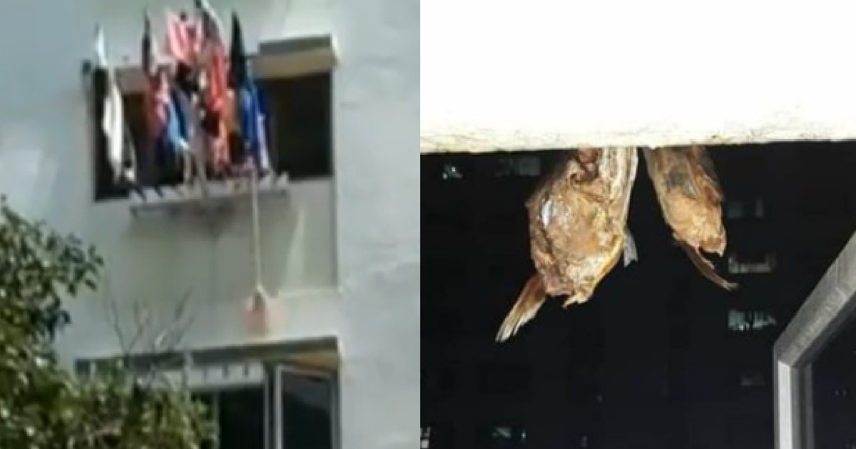 RESIDENTS FIGHT OVER COOKING SMELL, HANG DRIED FISH OUTSIDE NEIGHBOUR WINDOW