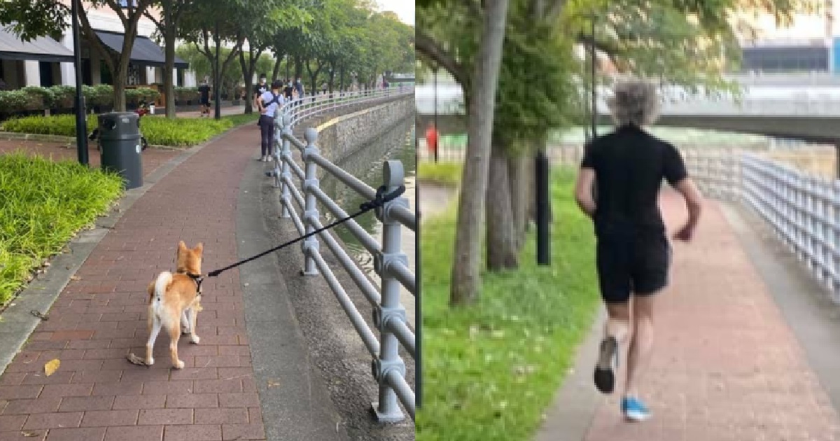 ANG MOH SNATCH LEASH FROM WOMAN WALKING HER DOG, FLINGS DOG TO RAILING