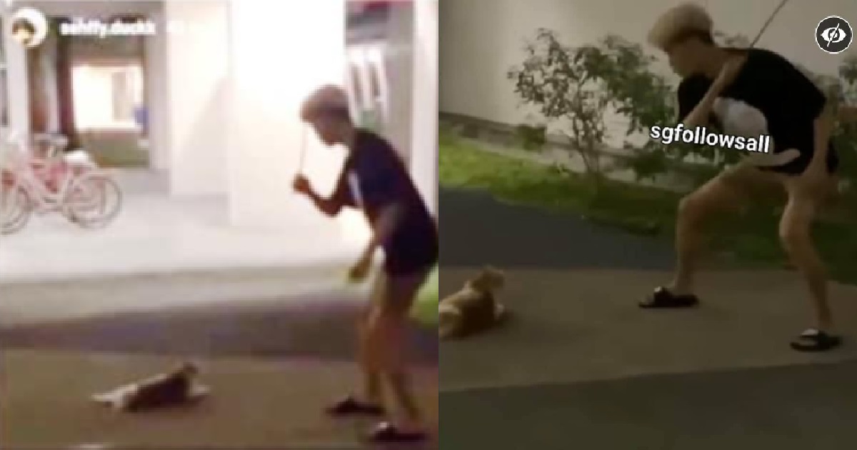SPCA APPEALING FOR INFO ON YOUNG PUNK WHO USED ROTAN TO CANE STRAY CAT