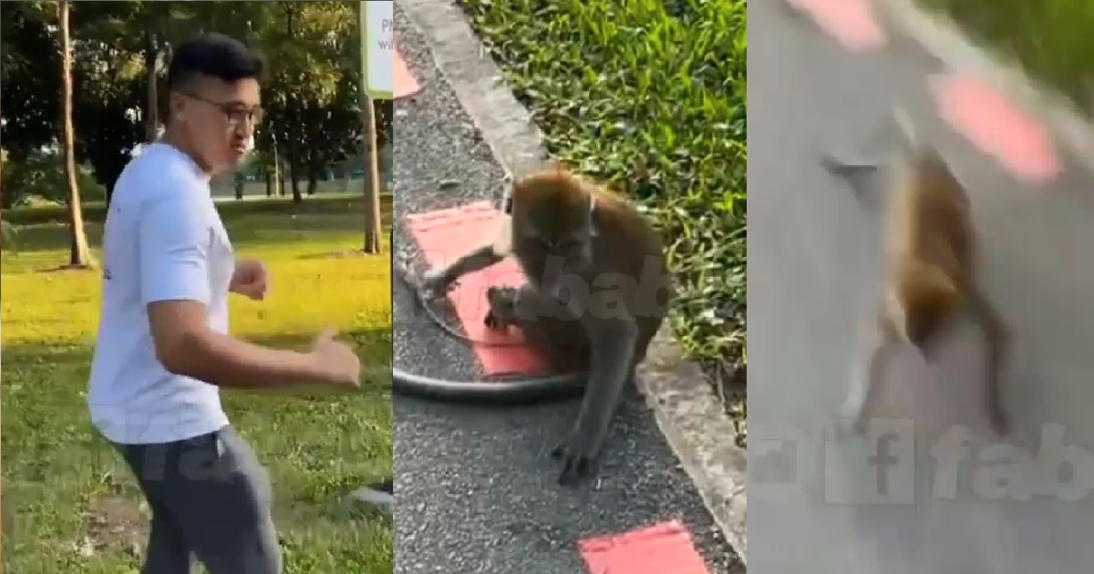 GUY CHALLENGE MONKEY TO FIGHT, RUN AWAY SCREAMING WHEN MONKEY CHASE HIM