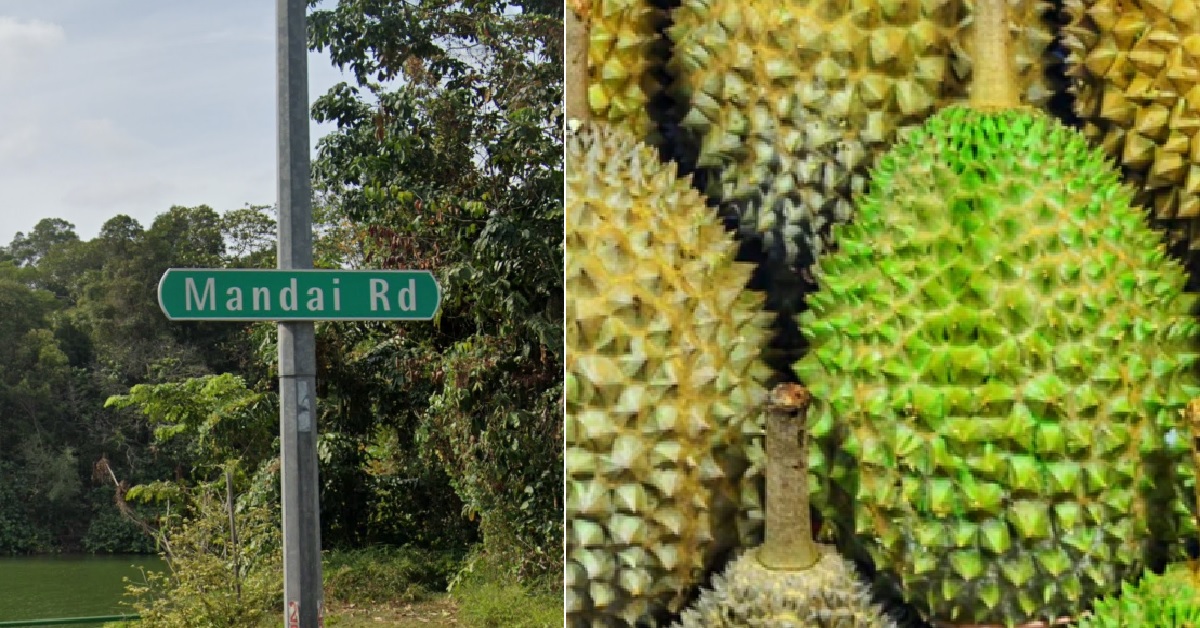 11 ARRESTED BY POLICE FOR PICKING DURIANS ALONG MANDAI ROAD
