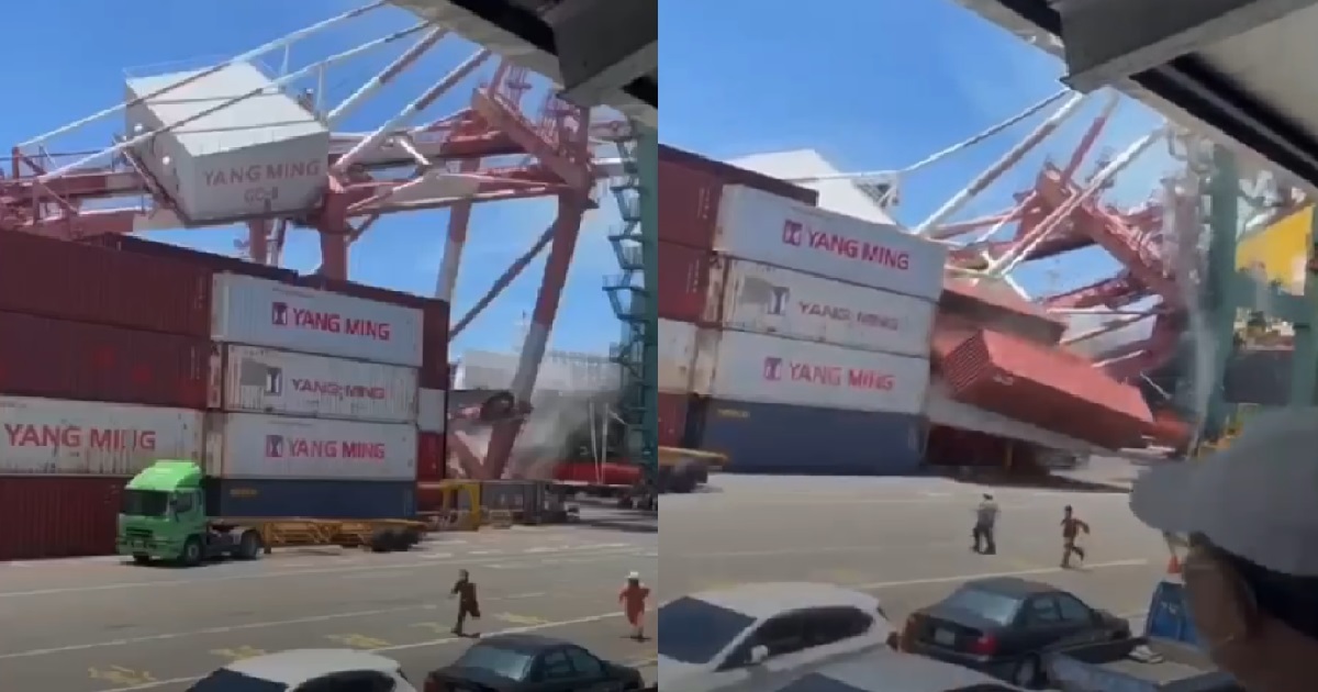 GIANT CRANE CRASHES ONTO SHIPPING CONTAINERS, WORKERS FLEE FOR THEIR LIVES