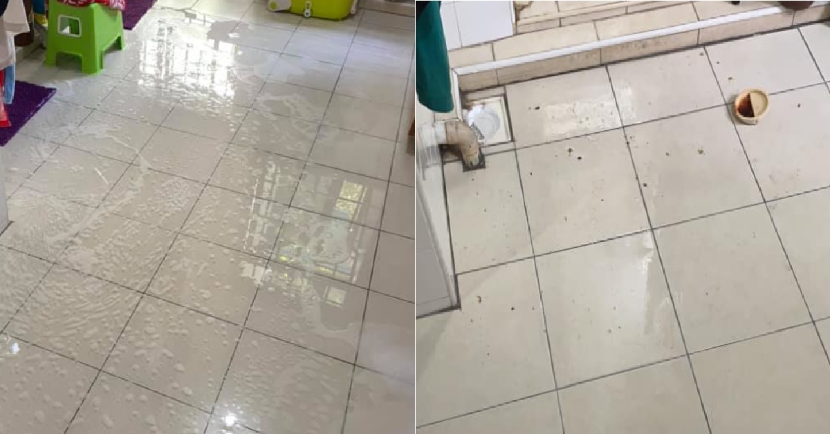 HDB WATER PIPE CLOG, CAUSING BACKFLOW OF SOAP, FOOD DEBRIS, INSECTS, AND OIL