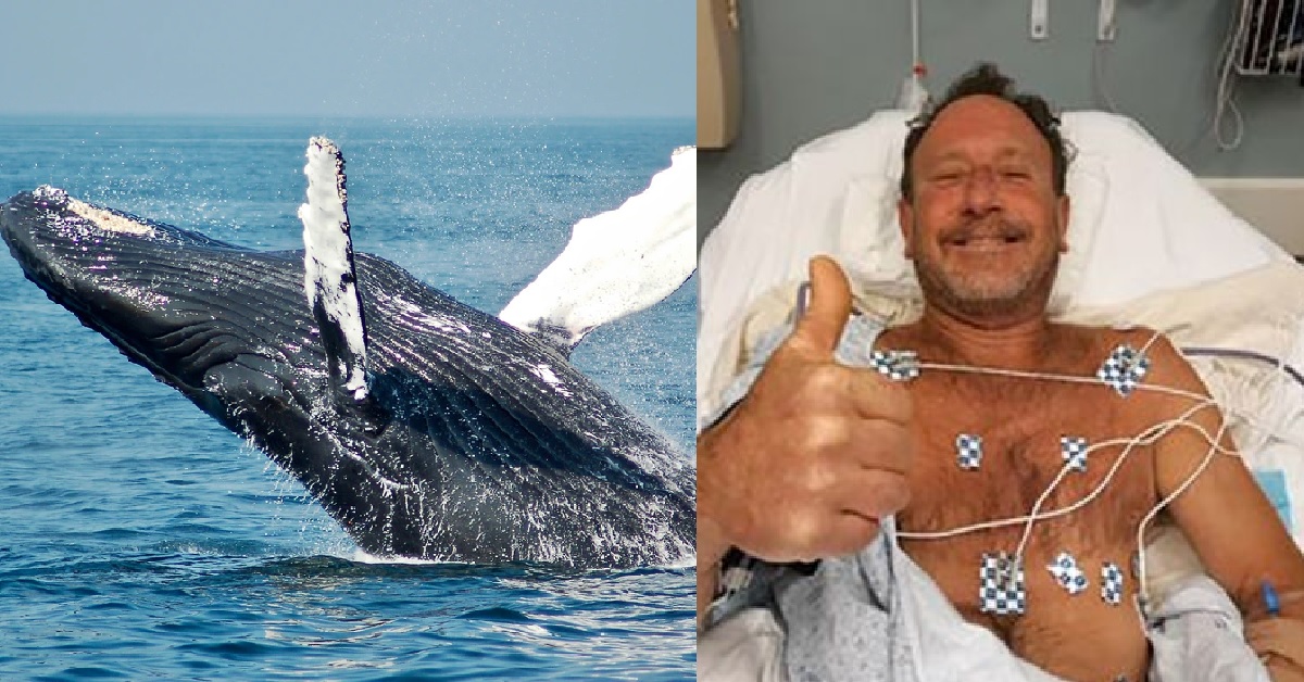 MAN SWALLOWED BY WHALE, SPITS HIM OUT AND SURVIVES TO TELL THE TALE