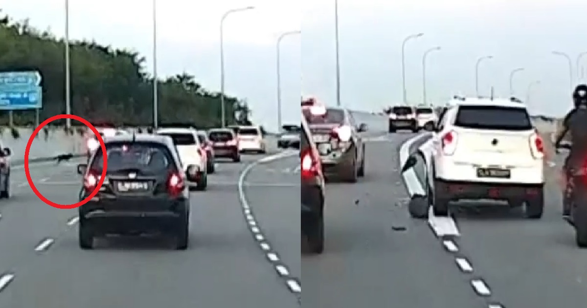 DOG SUDDENLY RUN ACROSS EXPRESSWAY, CAR JAM BRAKE & KENA BANG FROM BEHIND