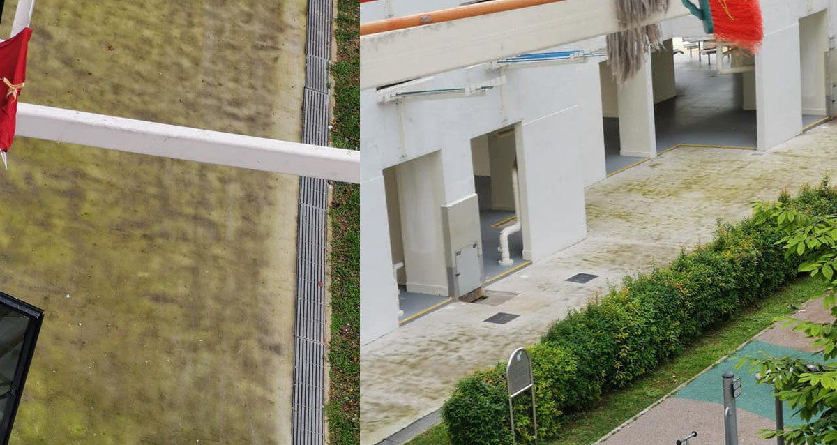 NEIGHBOURHOOD @ TANJONG PAGAR FULL OF ALGAE ,HELLO TOWN COUNCIL