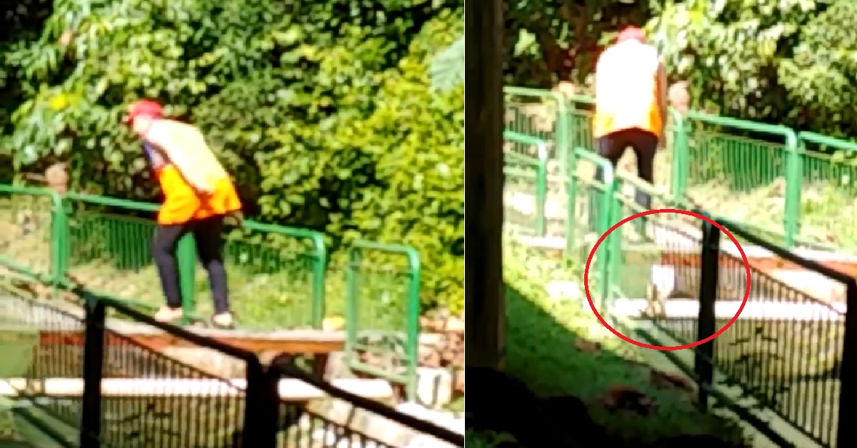 MAN FINED SGD$11,000 FOR DROPPING PET DOG INTO CANAL @ NATURE RESERVE