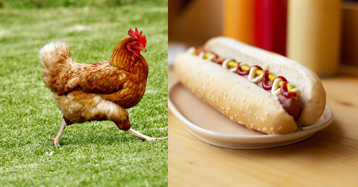 NEEDY GF SAYS WILL FIND OTHER GUY’S “HOTDOG” IF BF GOES OUT TO WORK