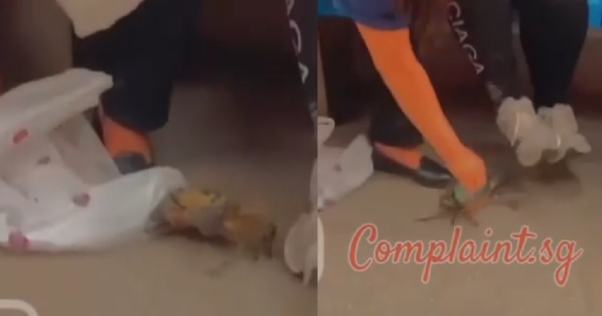 CRAB ESCAPE FROM AUNTIE’S BAG IN MRT, RUNNING FOR ITS LIFE