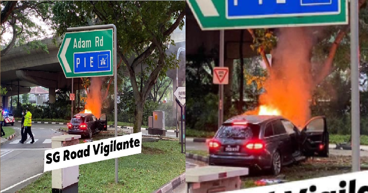 AUDI CRASHED INTO TREE AND STARTS BURSTING INTO FLAMES
