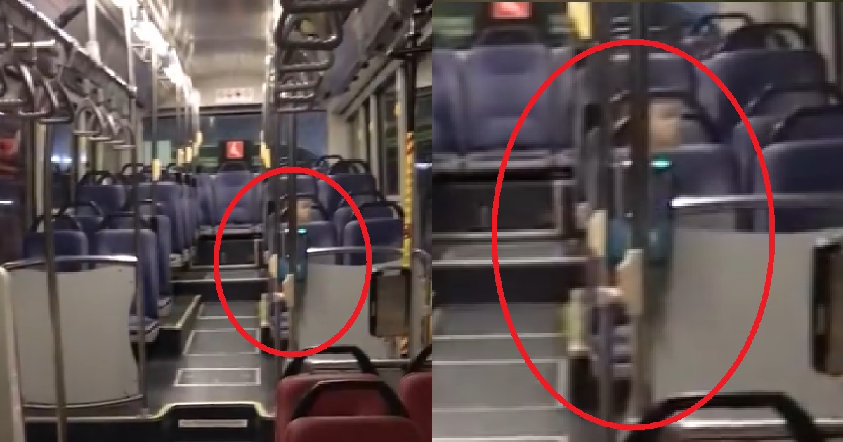 SMRT BUS DRIVER CAPTURES SPIRIT OF LITTLE BOY IN HIS BUS