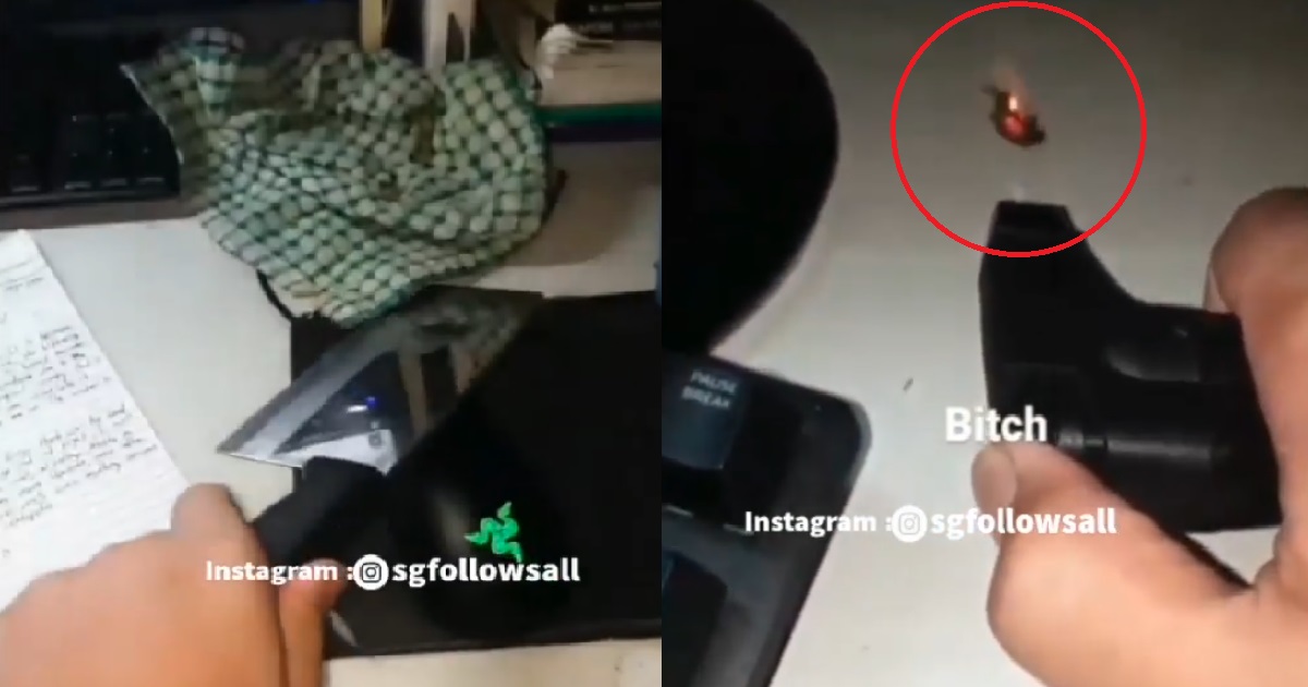 GUY TAKE CHOPPER FIGHT WITH BEETLE, USE LIGHTER TO BURN THE INSECT