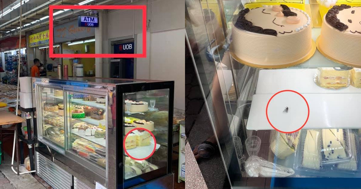 BAKERY WITH DEAD FLY ON DISPLAY WITH OTHER CAKES @ ANG MO KIO