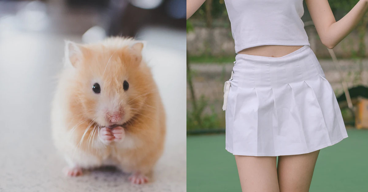 HAMSTER SELLER VIOLATES UNDERAGE GIRL BY LURING HER WITH HAMSTERS