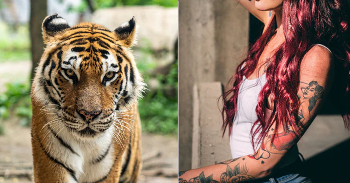 MAN SCARE OF AH LIAN GF, BEHAVE LIKE A GANGSTER. TIGER WIFE